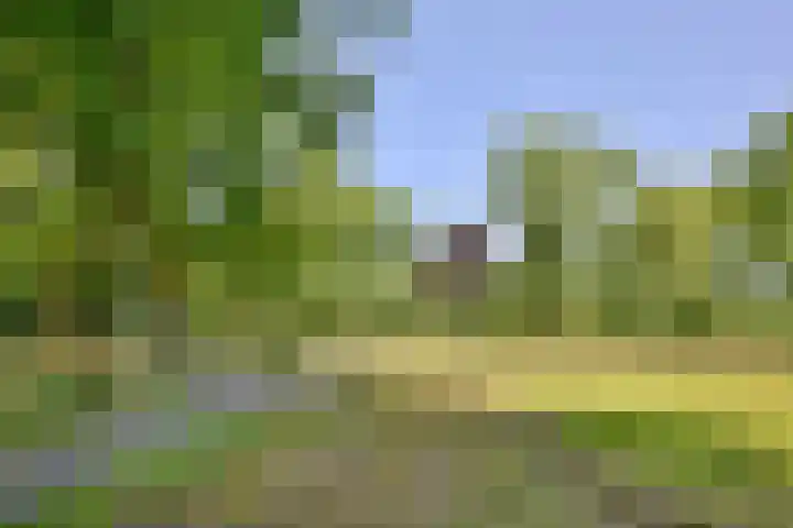 Worp 5 Deventer thumbnail 51