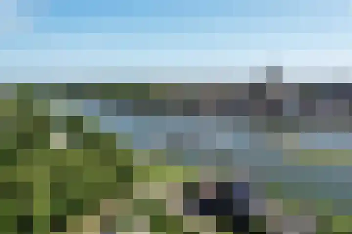 Worp 5 Deventer thumbnail 53