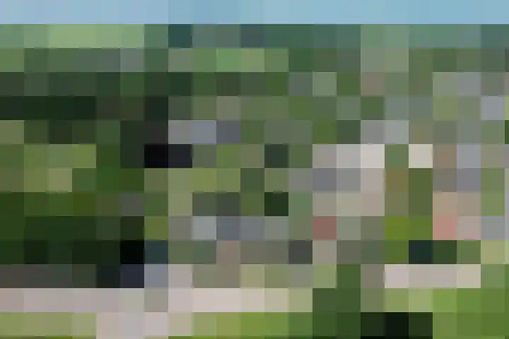Worp 5 Deventer thumbnail 56