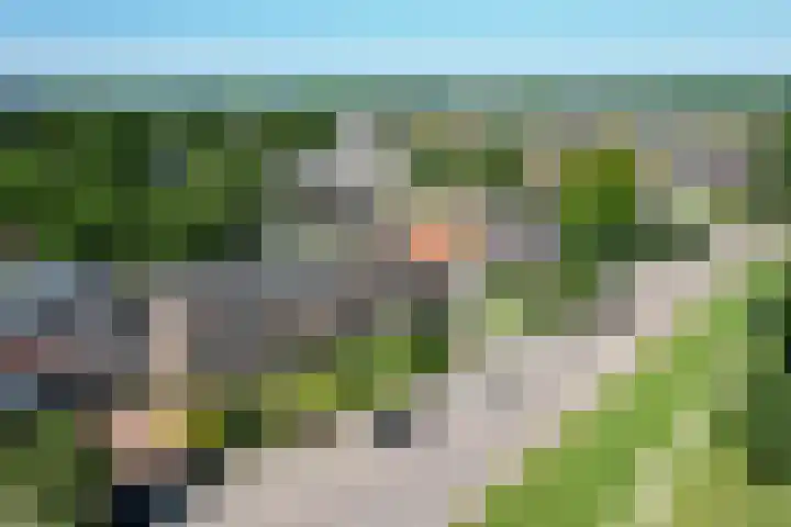 Worp 5 Deventer thumbnail 57