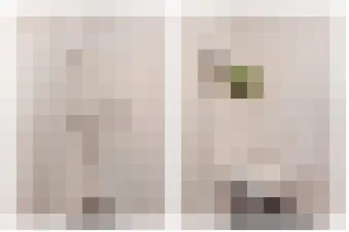 Worp 5 Deventer thumbnail 59