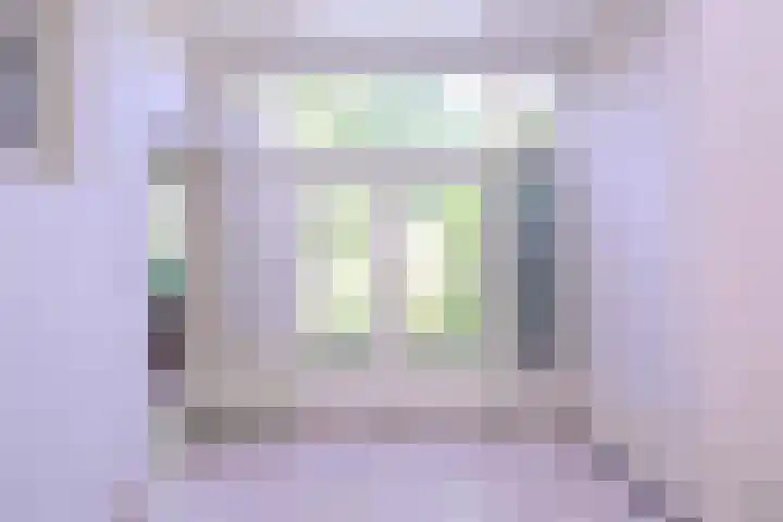 Worp 5 Deventer thumbnail 9