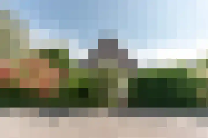 Wortelakker 2 Wezep thumbnail 13