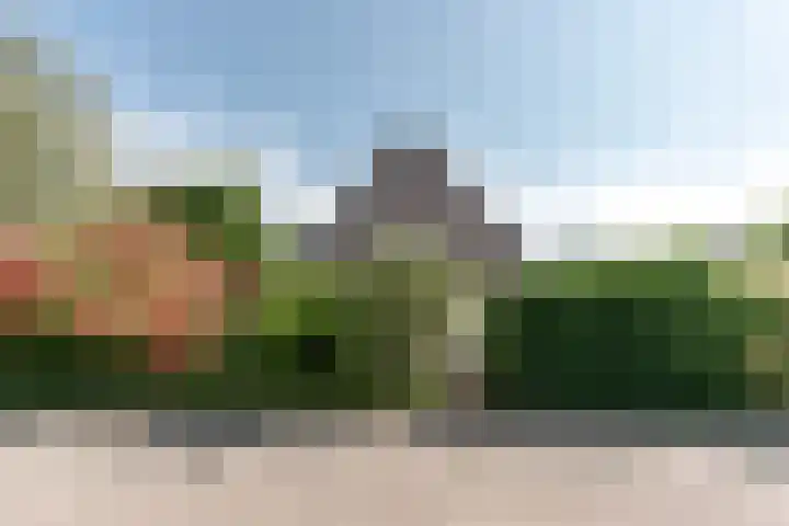Wortelakker 2 Wezep thumbnail 14
