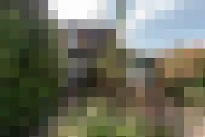 Wortelakker 2 Wezep thumbnail 15