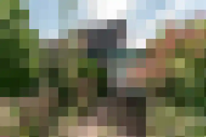 Wortelakker 2 Wezep thumbnail 20