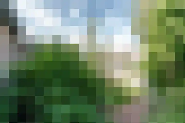 Wortelakker 2 Wezep thumbnail 23