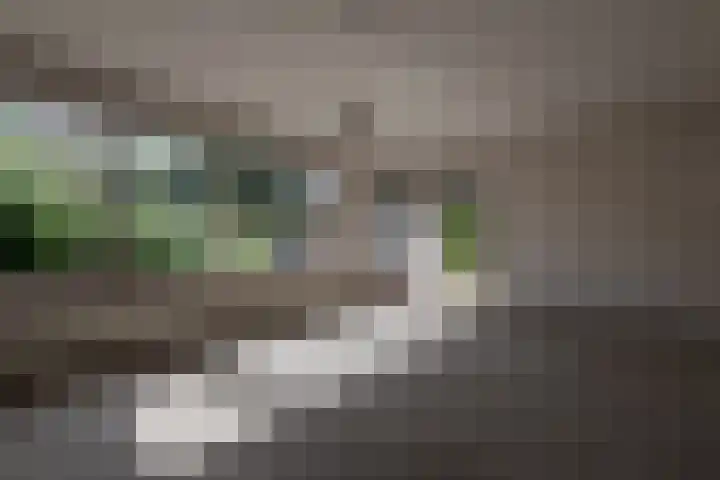 Wortelakker 2 Wezep thumbnail 4