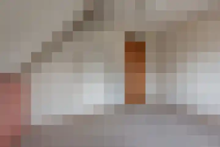 Wortelakker 2 Wezep thumbnail 58