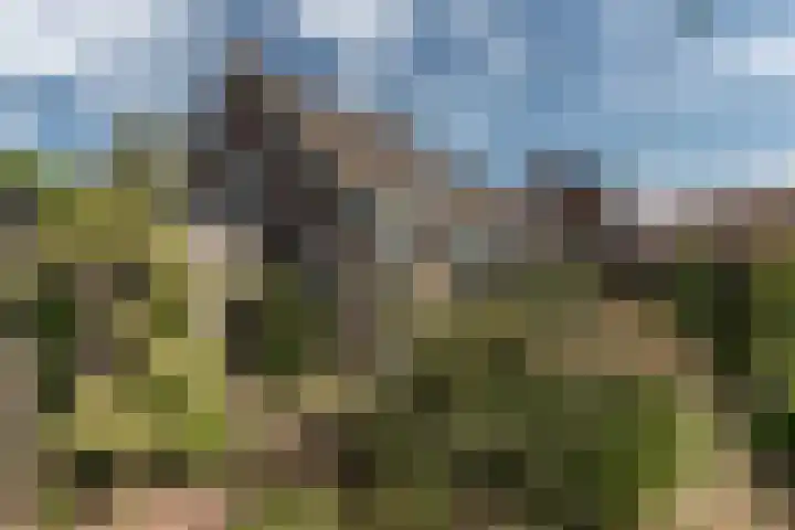 Wortelakker 2 Wezep thumbnail 70