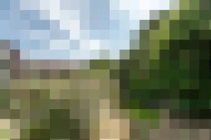 Wortelakker 2 Wezep thumbnail 72