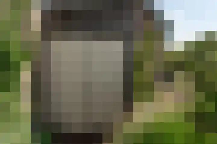 Wortelakker 2 Wezep thumbnail 74