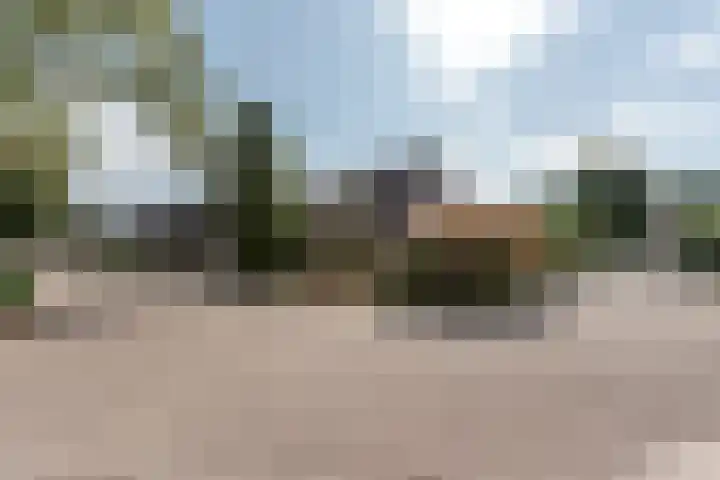 Wortelakker 2 Wezep thumbnail 9
