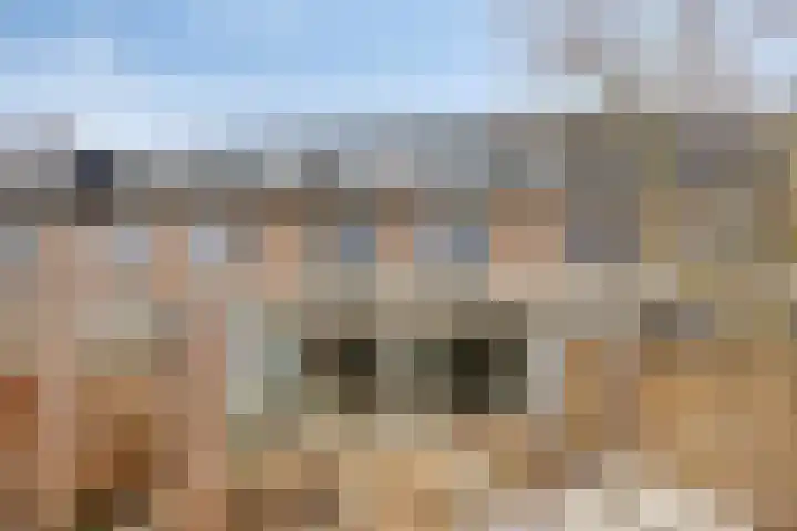 Woudbes 23 dans Leiden