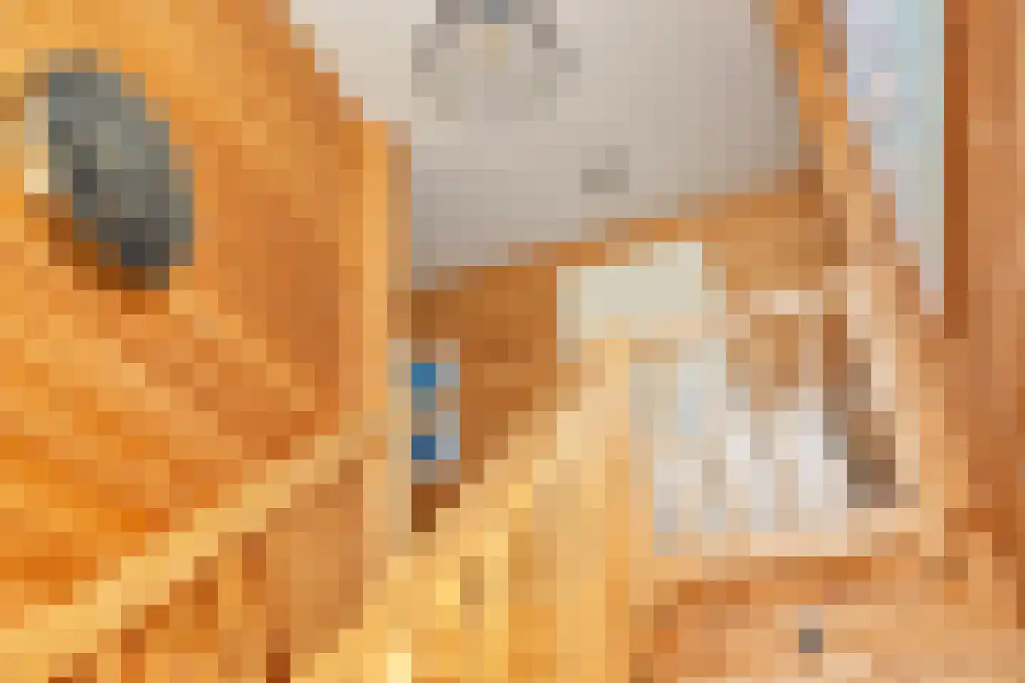 Woude 36 d de Woude thumbnail 14