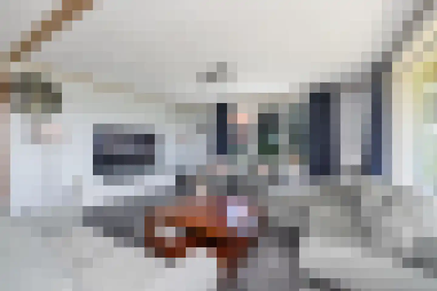 Woude 36 d de Woude thumbnail 19