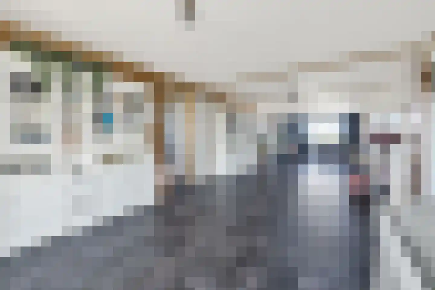 Woude 36 d de Woude thumbnail 21