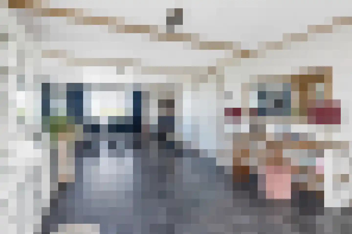 Woude 36 d de Woude thumbnail 26