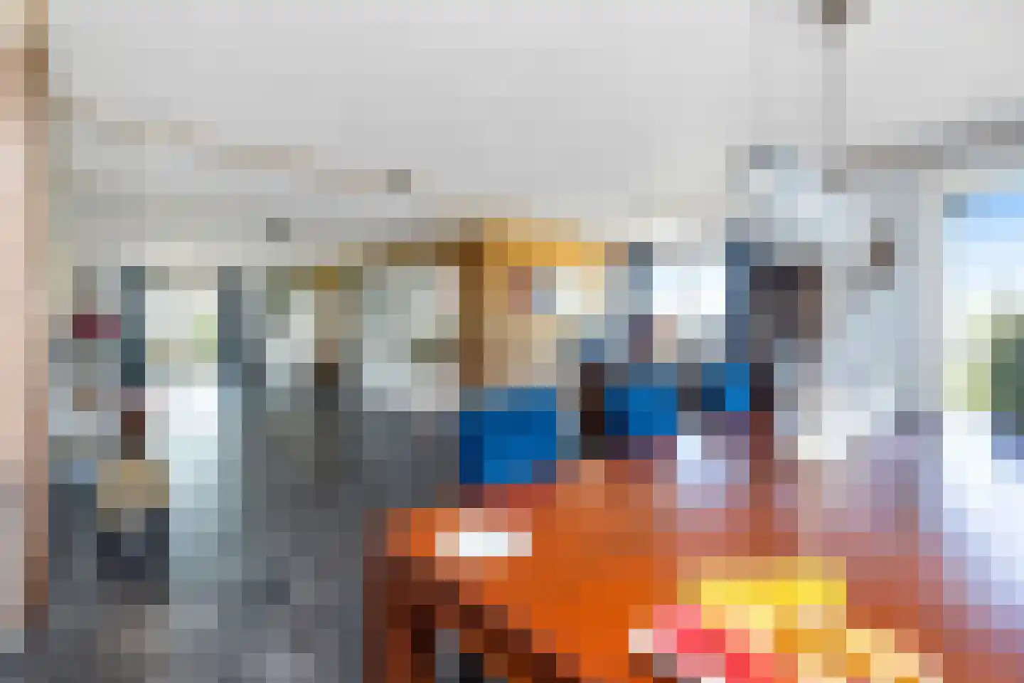 Woude 36 d de Woude thumbnail 29