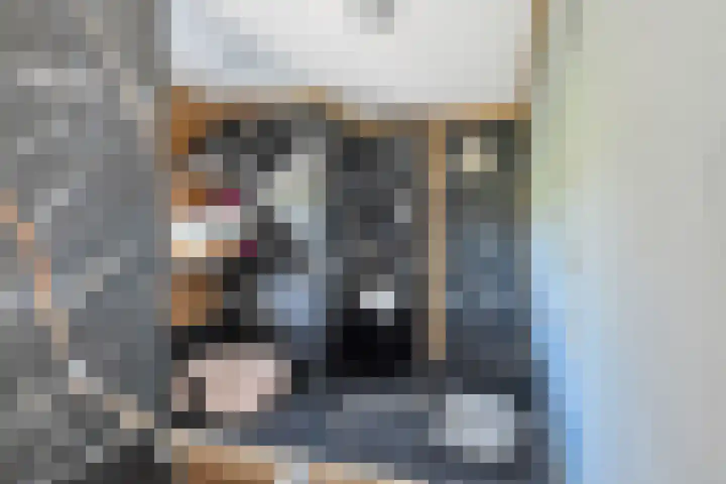 Woude 36 d de Woude thumbnail 40