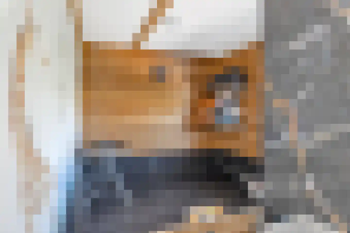 Woude 36 d de Woude thumbnail 41