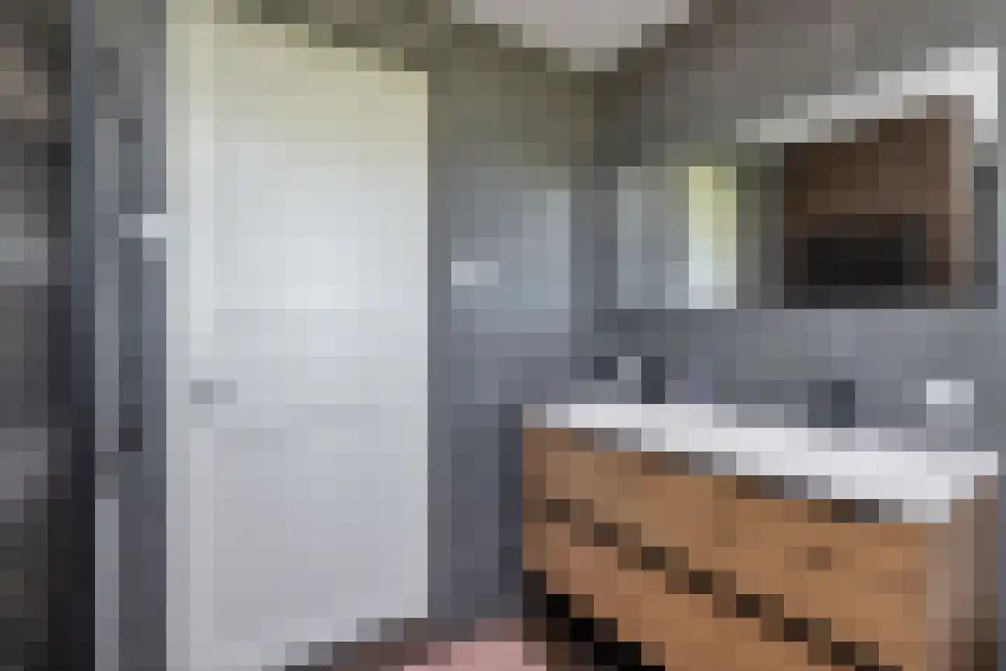 Woude 36 d de Woude thumbnail 46