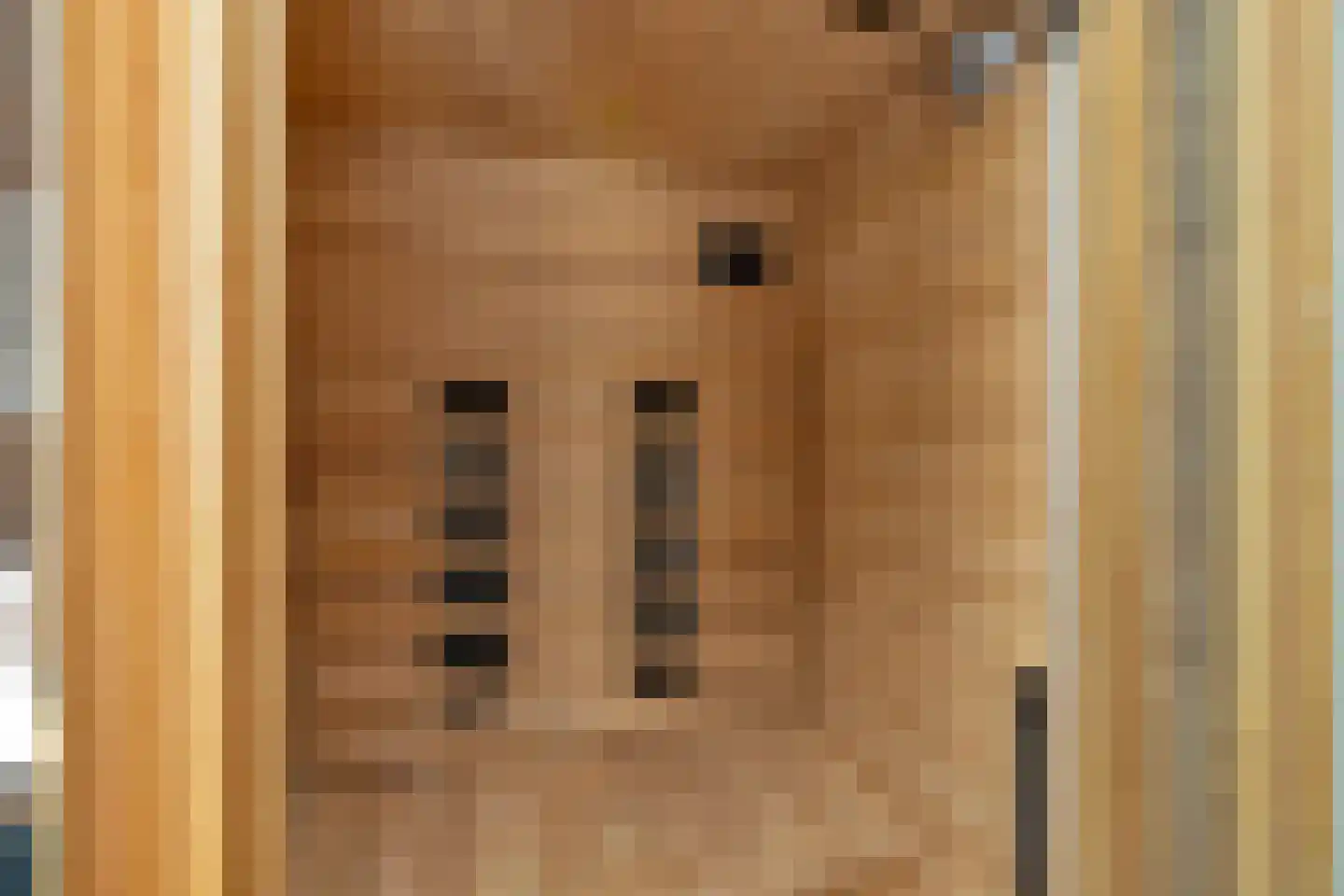 Woude 36 d de Woude thumbnail 55
