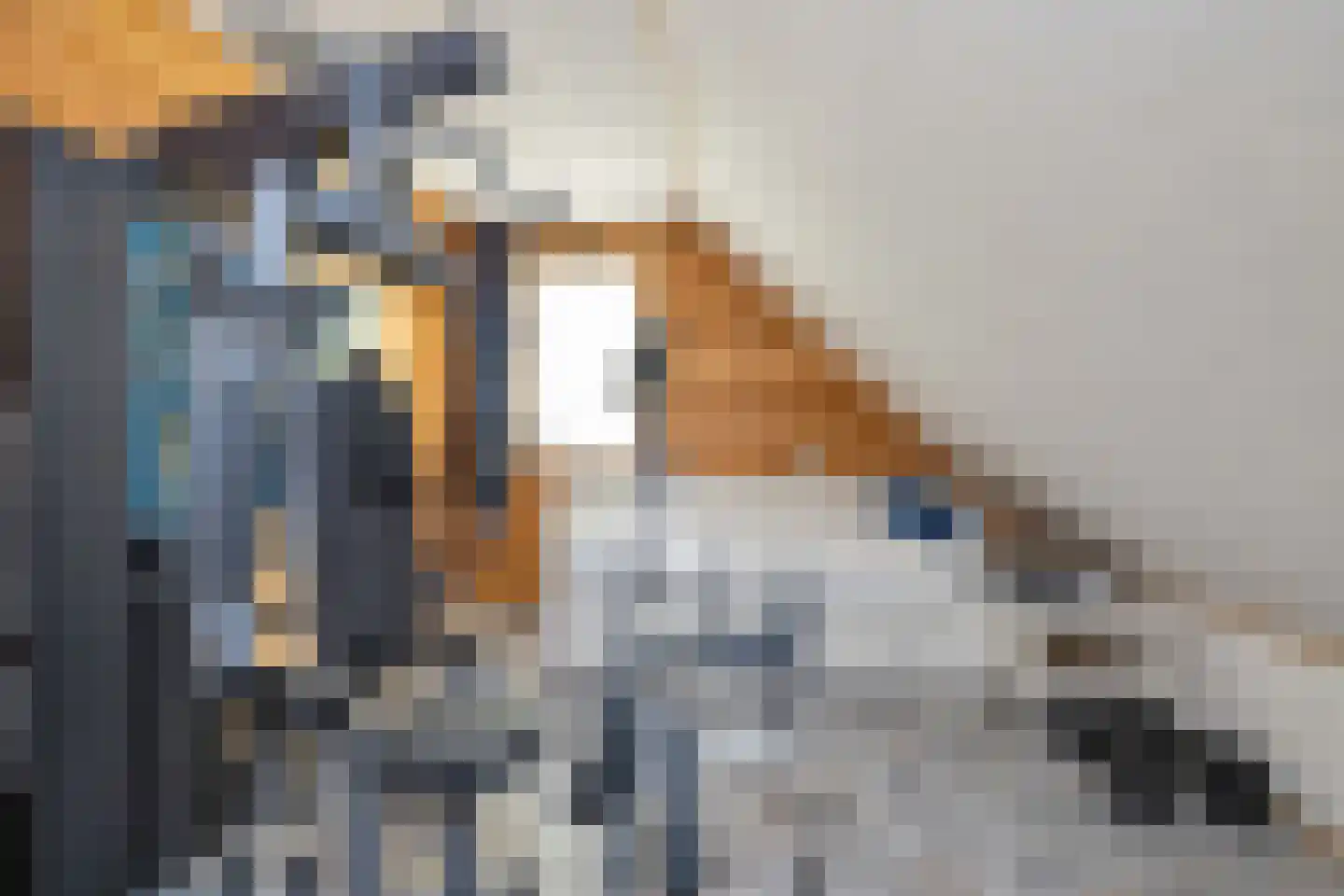 Woude 36 d de Woude thumbnail 59