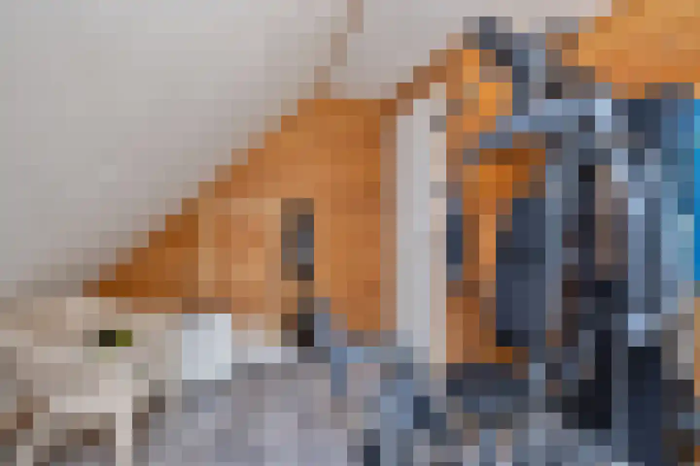 Woude 36 d de Woude thumbnail 60