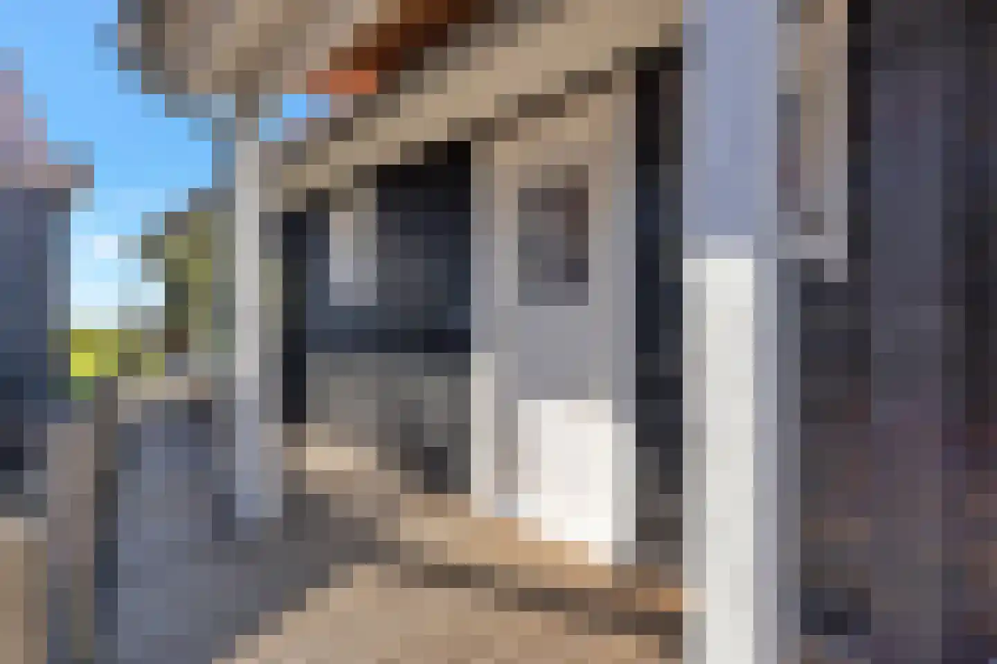 Woude 36 d de Woude thumbnail 73