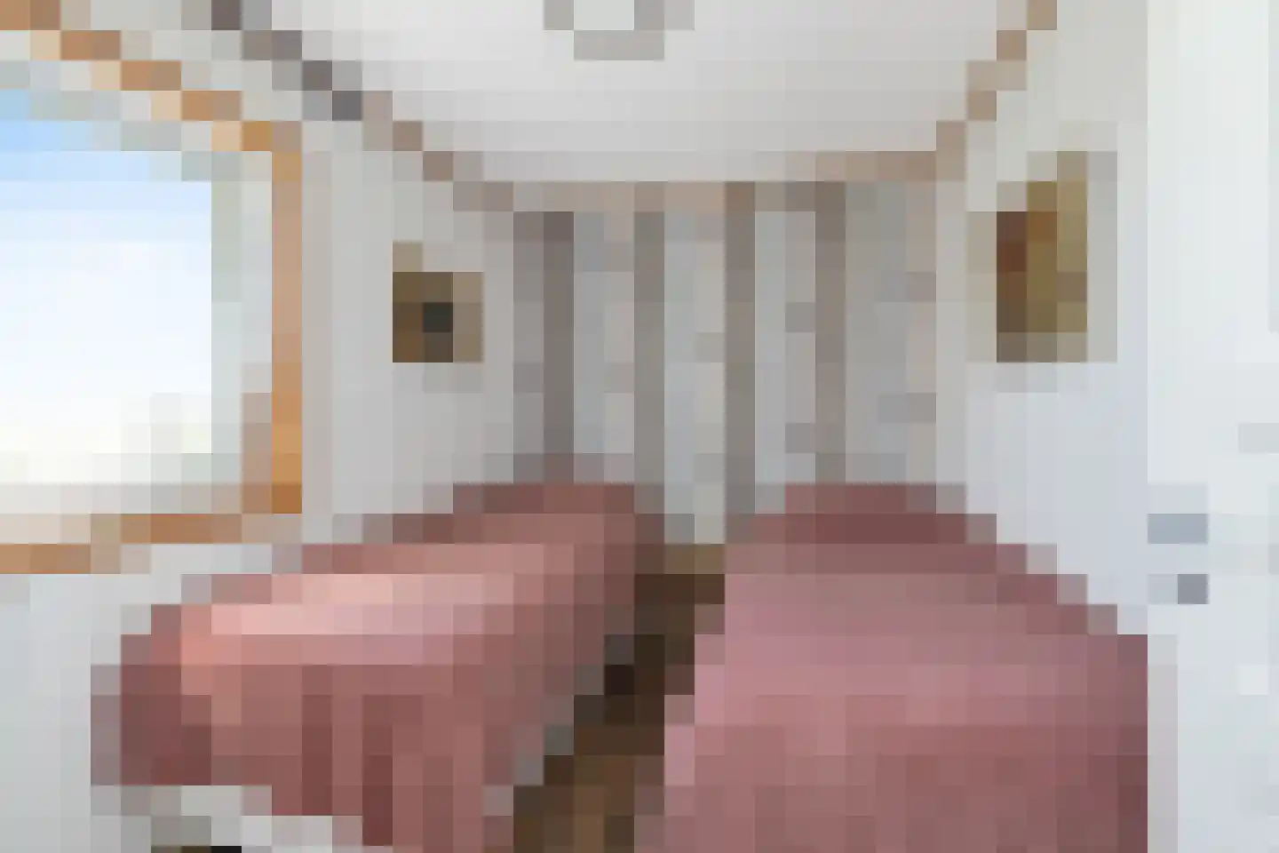 Woude 36 d de Woude thumbnail 81