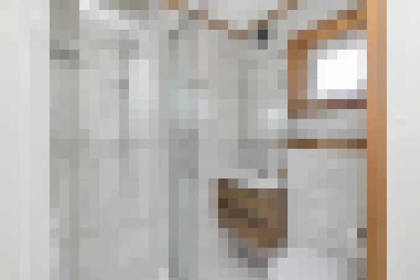 Woude 36 d de Woude thumbnail 82