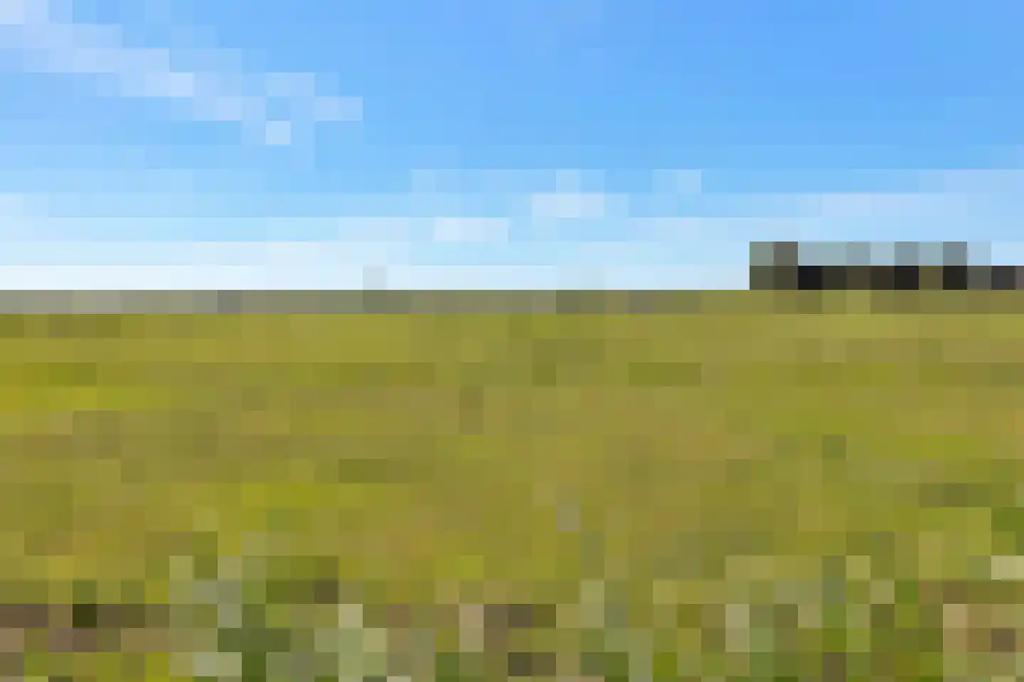 Woude 36 d de Woude thumbnail 89