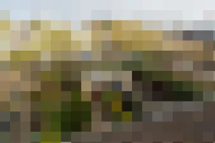 Woudestein 13 Gouda thumbnail 44