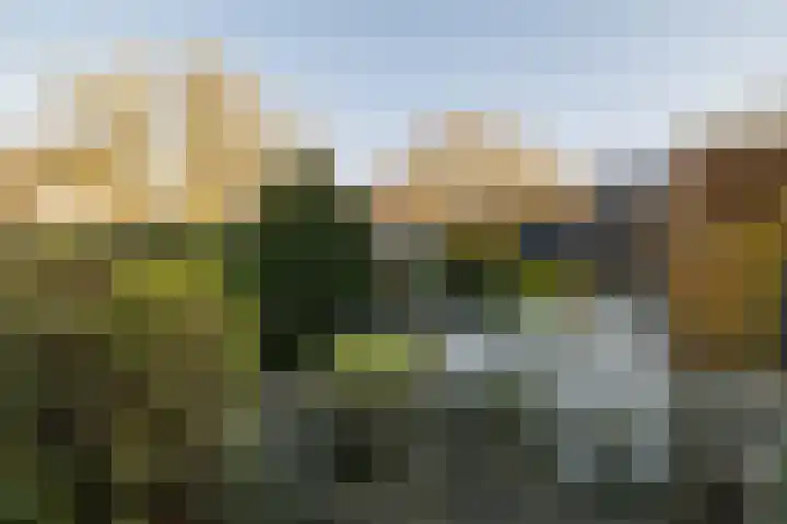 Woudestein 13 Gouda thumbnail 45