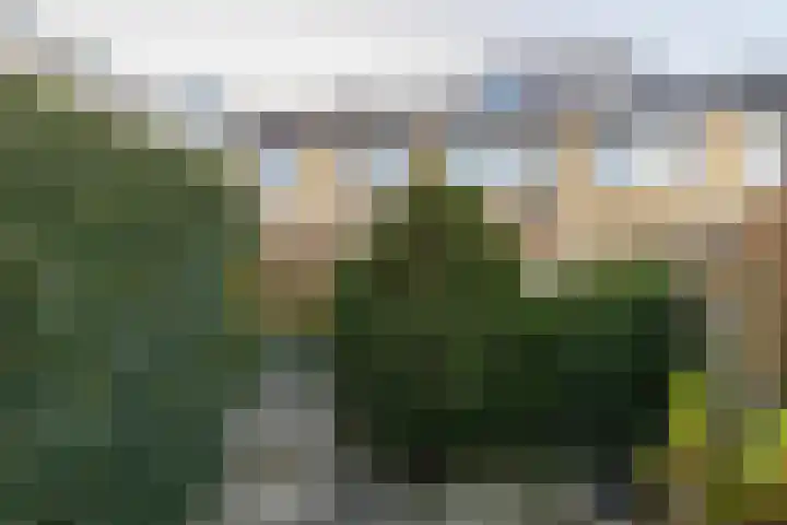 Woudestein 13 Gouda thumbnail 47