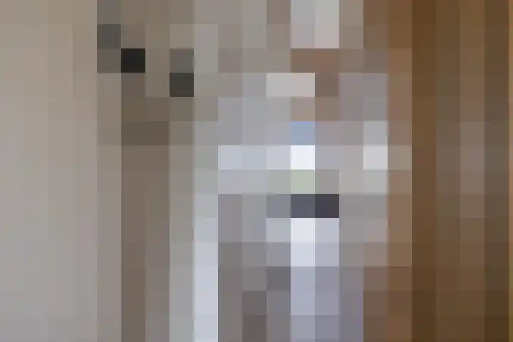 Woudevoirt 38 Zoeterwoude thumbnail 10