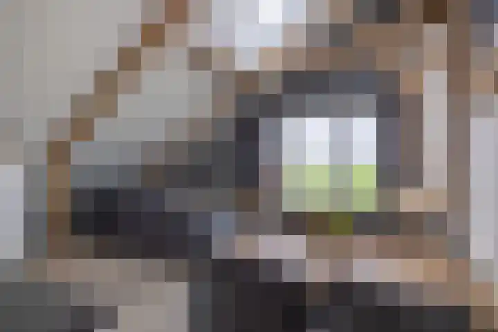 Woudevoirt 38 Zoeterwoude thumbnail 11