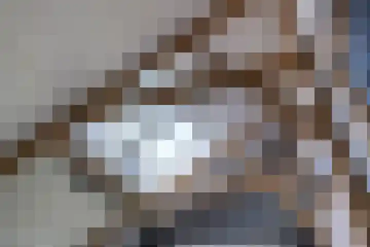 Woudevoirt 38 Zoeterwoude thumbnail 12