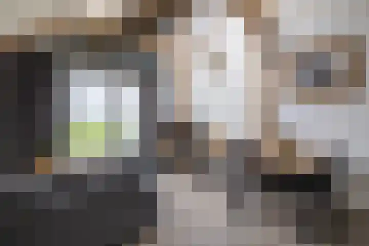 Woudevoirt 38 Zoeterwoude thumbnail 13