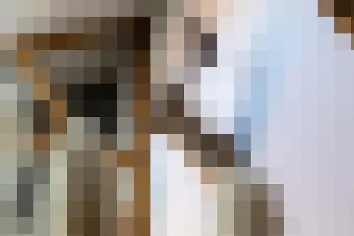 Woudevoirt 38 Zoeterwoude thumbnail 14