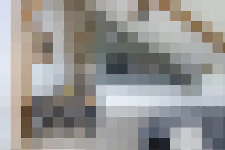 Woudevoirt 38 Zoeterwoude thumbnail 15