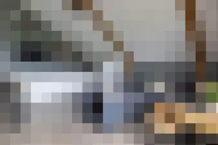 Woudevoirt 38 Zoeterwoude thumbnail 18