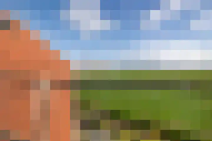 Woudevoirt 38 Zoeterwoude thumbnail 19