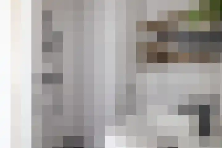 Woudevoirt 38 Zoeterwoude thumbnail 22