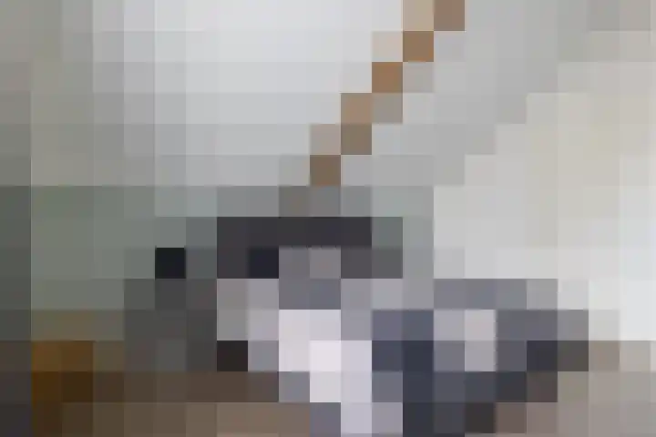 Woudevoirt 38 Zoeterwoude thumbnail 24