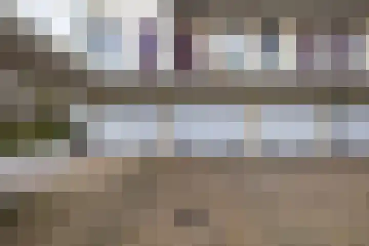 Woudevoirt 38 Zoeterwoude thumbnail 33