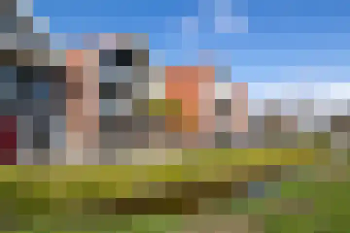 Woudevoirt 38 Zoeterwoude thumbnail 36
