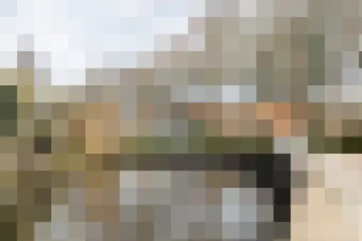 Woudevoirt 38 Zoeterwoude thumbnail 37