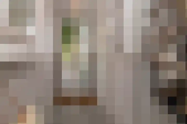 Woudlaan 31 Zoetermeer thumbnail 10